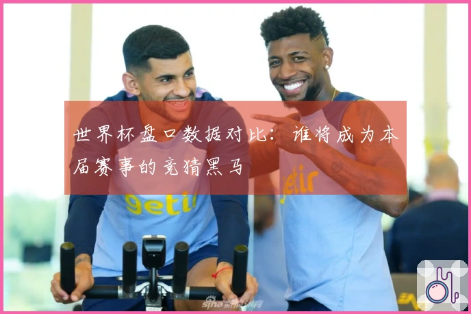 世界杯盘口数据对比：谁将成为本届赛事的竞猜黑马