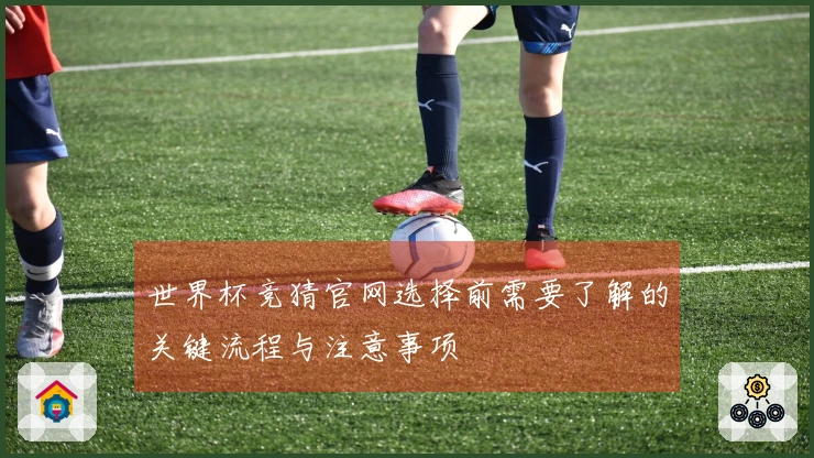 世界杯竞猜官网选择前需要了解的关键流程与注意事项