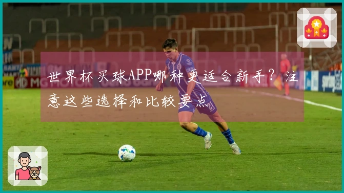 世界杯买球APP哪种更适合新手？注意这些选择和比较要点