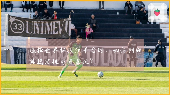 选择世界杯投注平台时，如何判断其稳定性与可靠性？