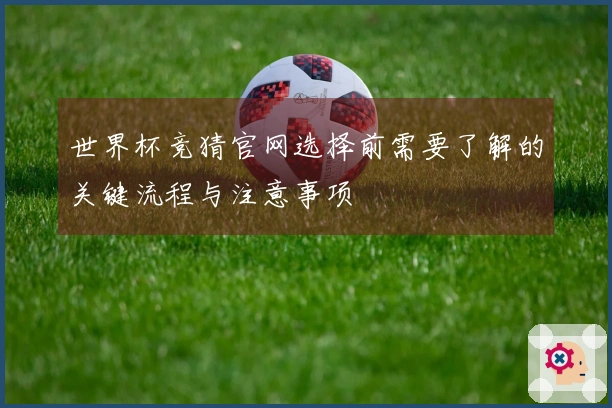 世界杯竞猜官网选择前需要了解的关键流程与注意事项