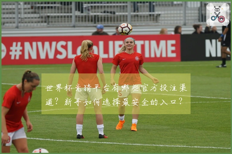 世界杯竞猜平台有哪些官方投注渠道？新手如何选择最安全的入口？